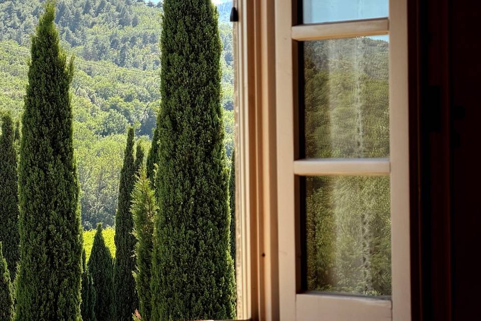 Vista