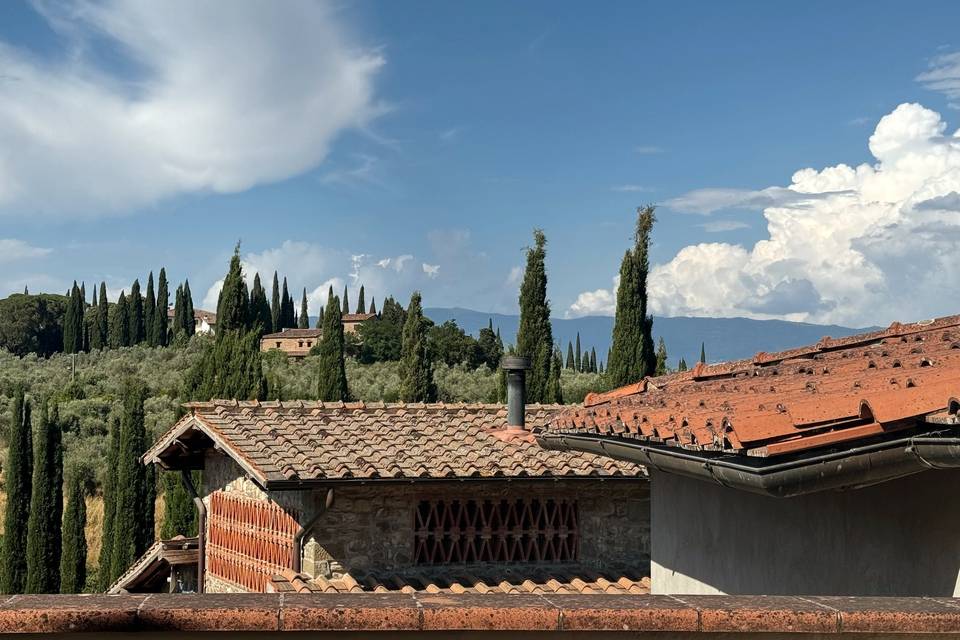 Vista