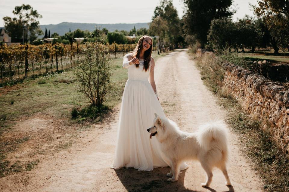 Paolo Ferraris Wedding Stories