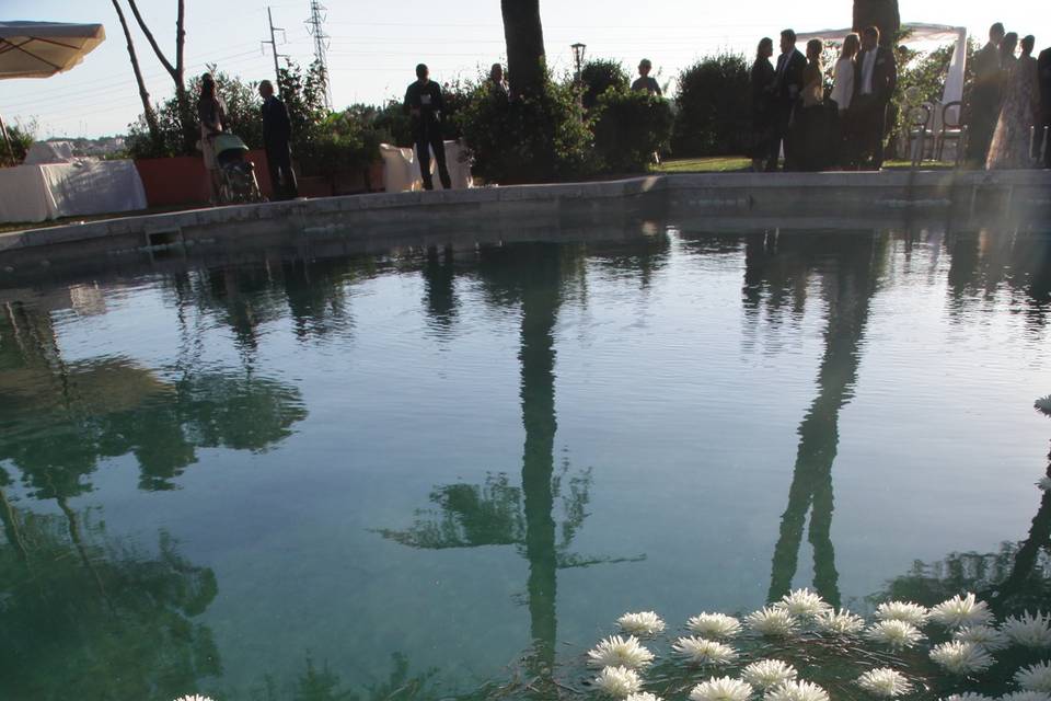 Cuore di dalie in piscina