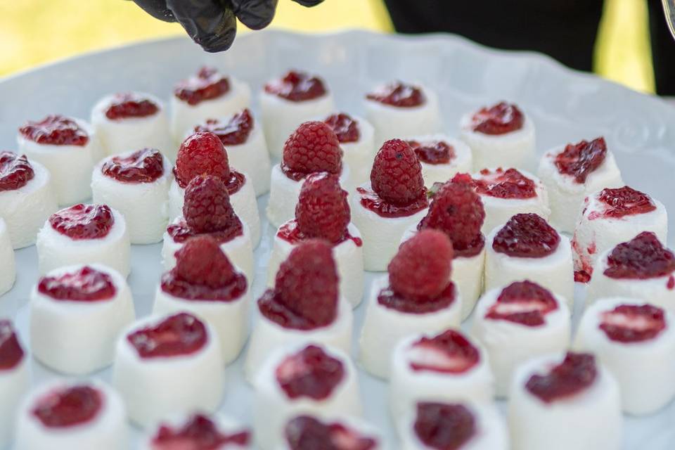 Panna cotta lamponi