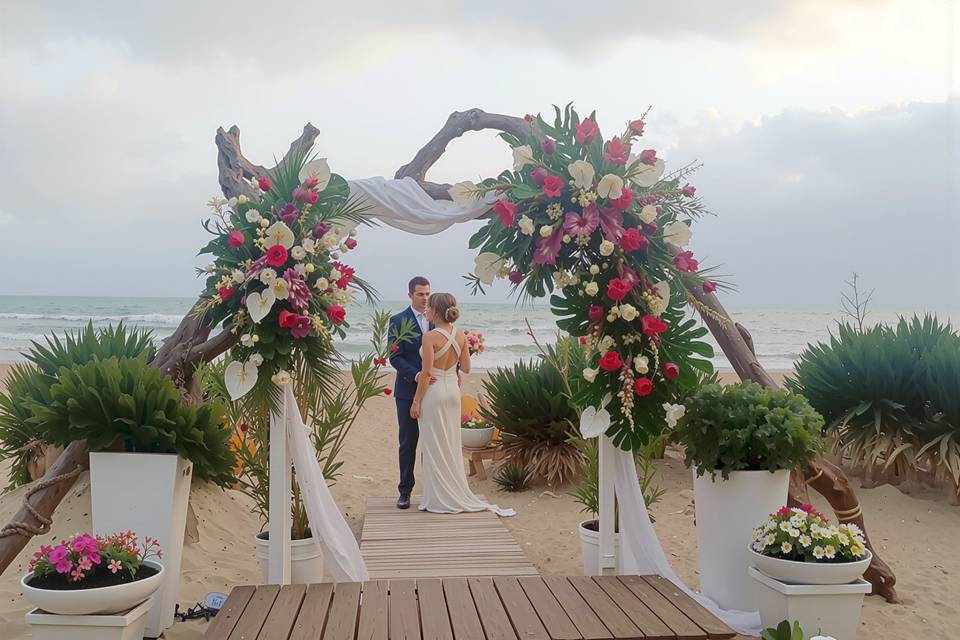 Atmosfere Tropicali