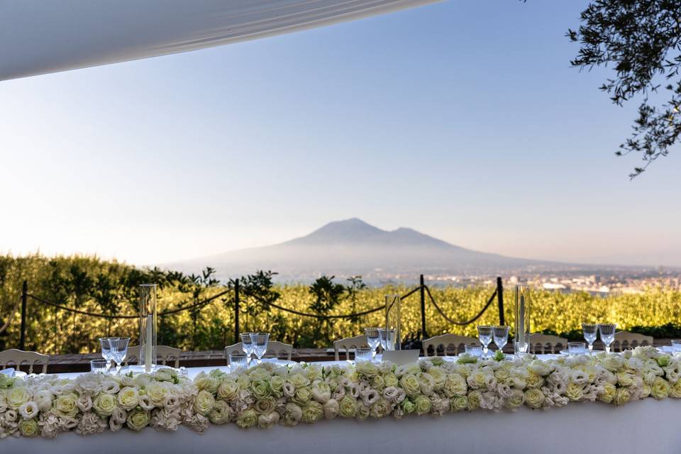 Vesuvio visto dal Castello