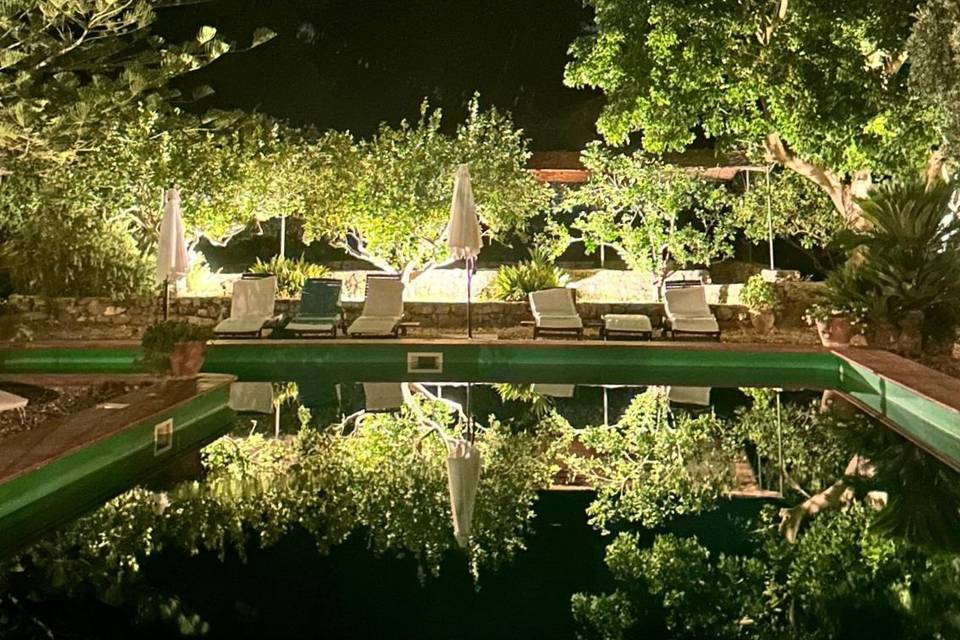 Piscina di notte (particolare)
