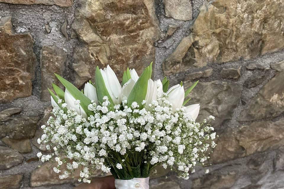 Bouquet tulipani