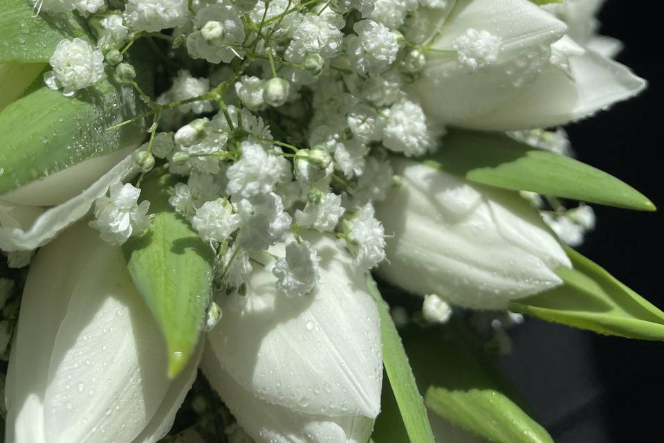 Bouquet tulipani