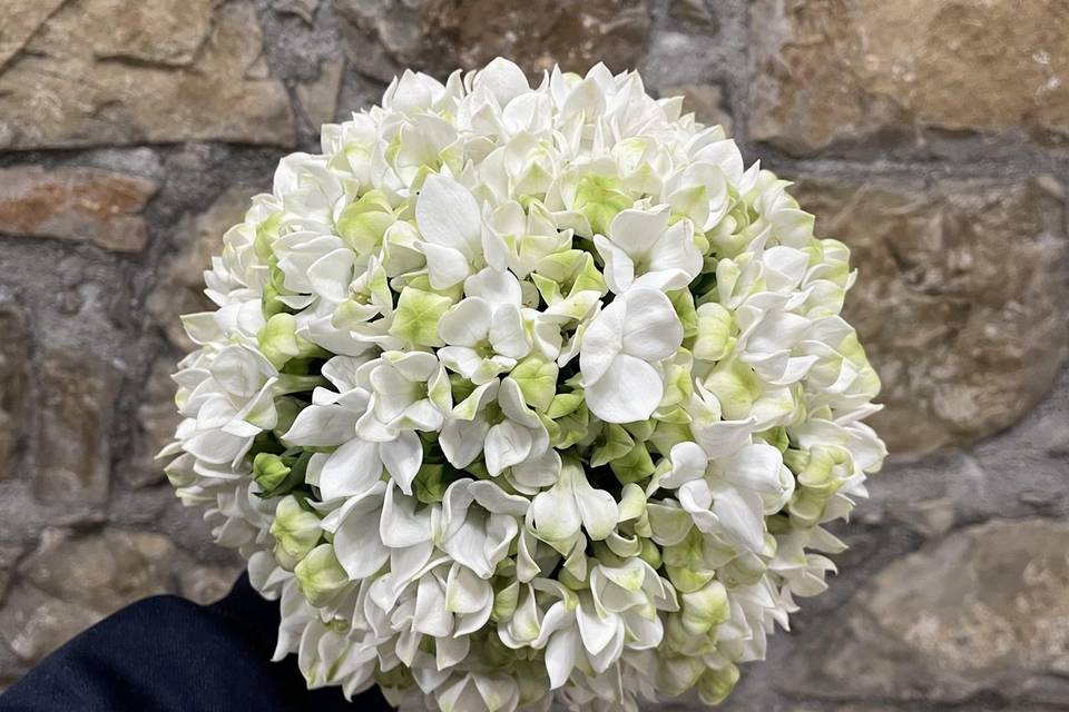 Bouquet bouvardia