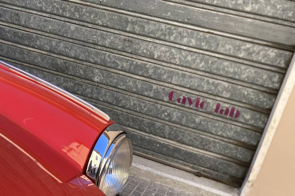 Cavio_Lab