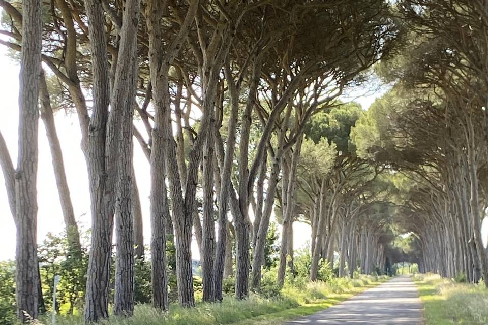25 maggio 2026