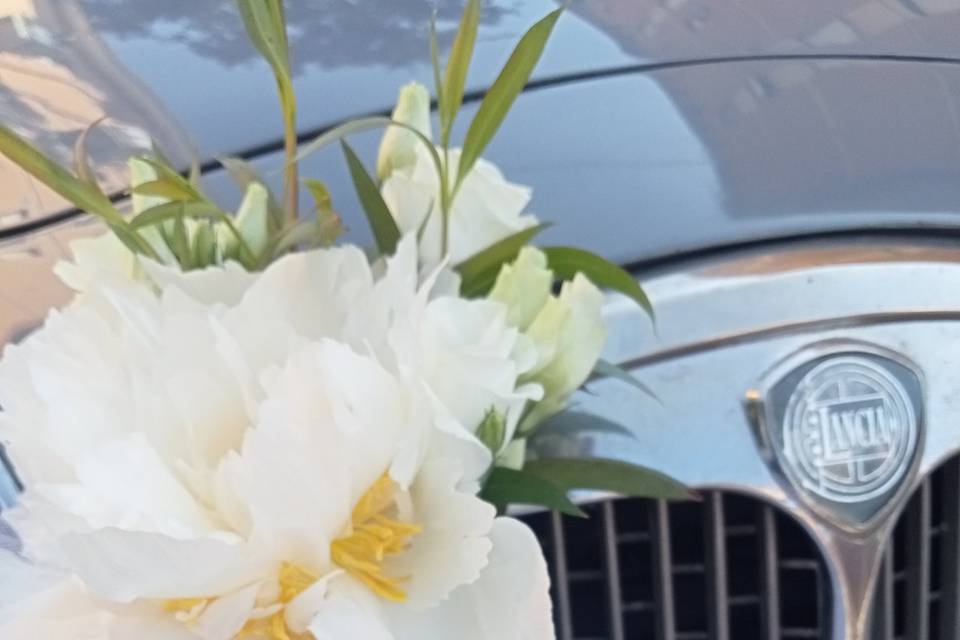 Lancia Aurelia