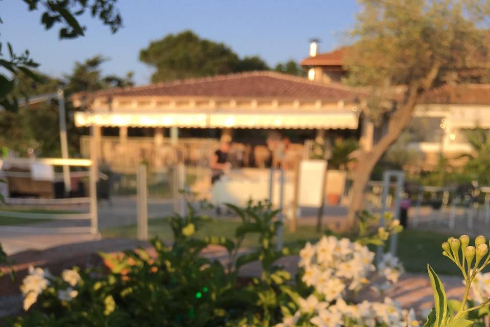 Giardino