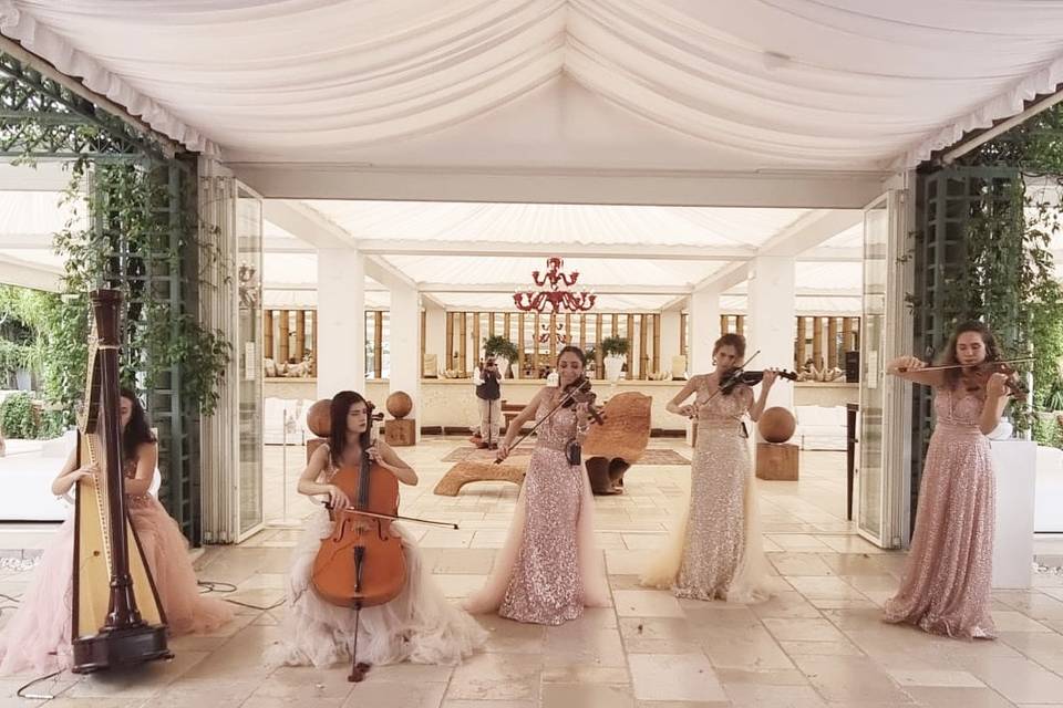 Musica-Matrimonio-Puglia