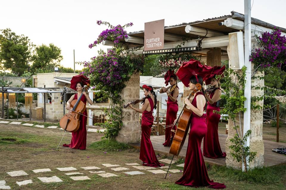 Musica-Matrimonio-Puglia