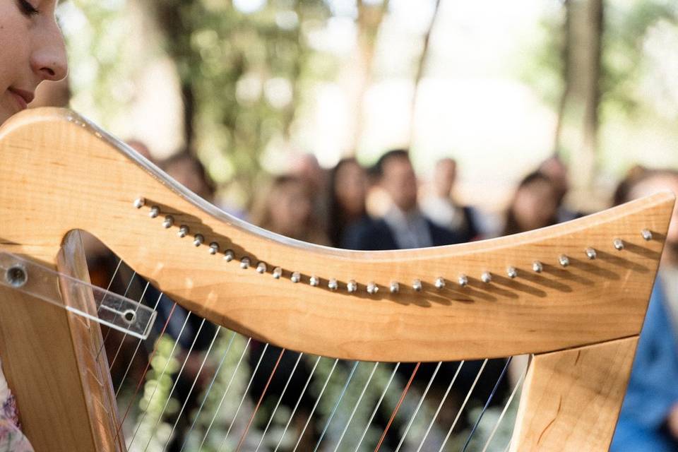Musica-Matrimonio-Puglia