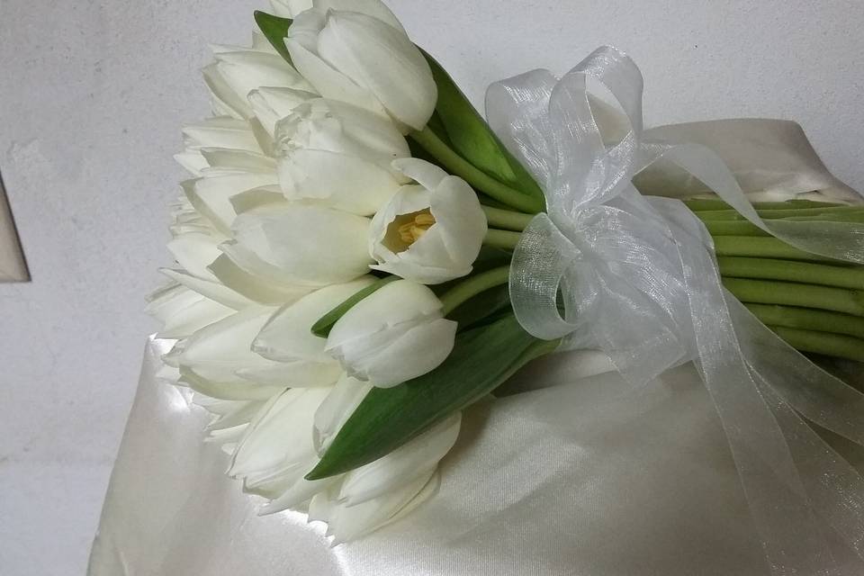 Bouquet  tulipani