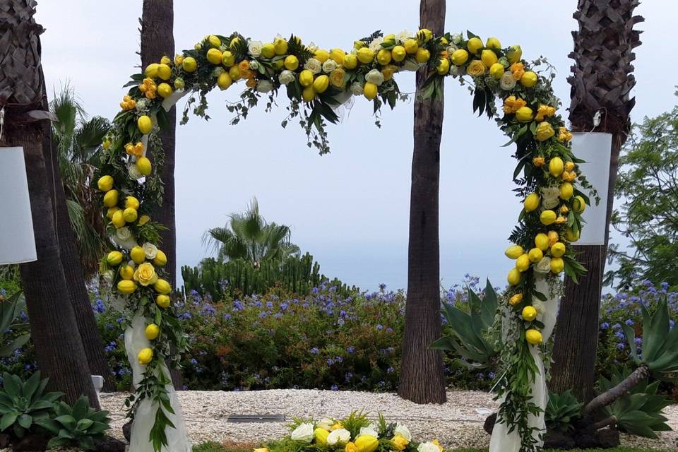 Patrizia Boccafoschi Floral Designer