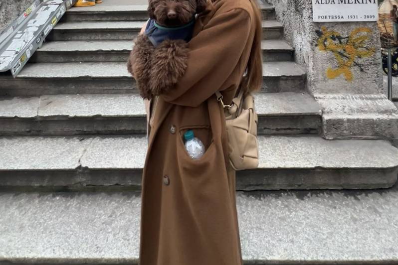 Dog sitter