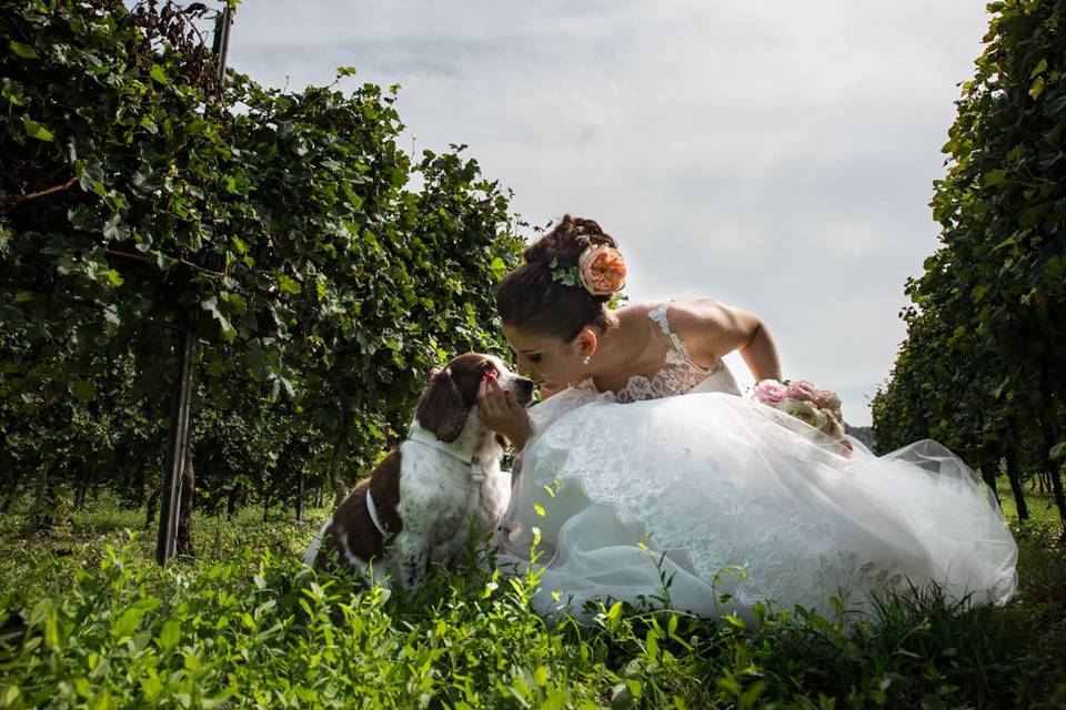 La Fotografia di Raffaele Trivini