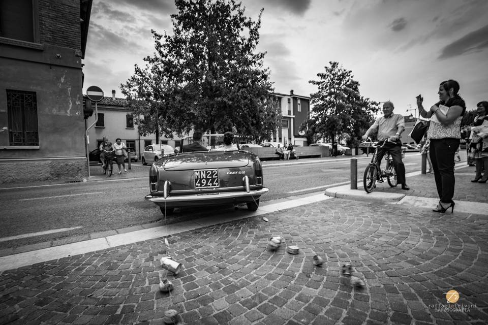 La Fotografia di Raffaele Trivini