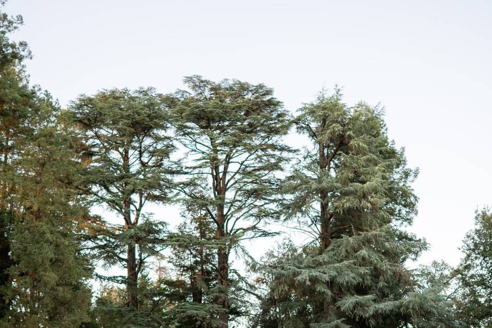 giardino serale