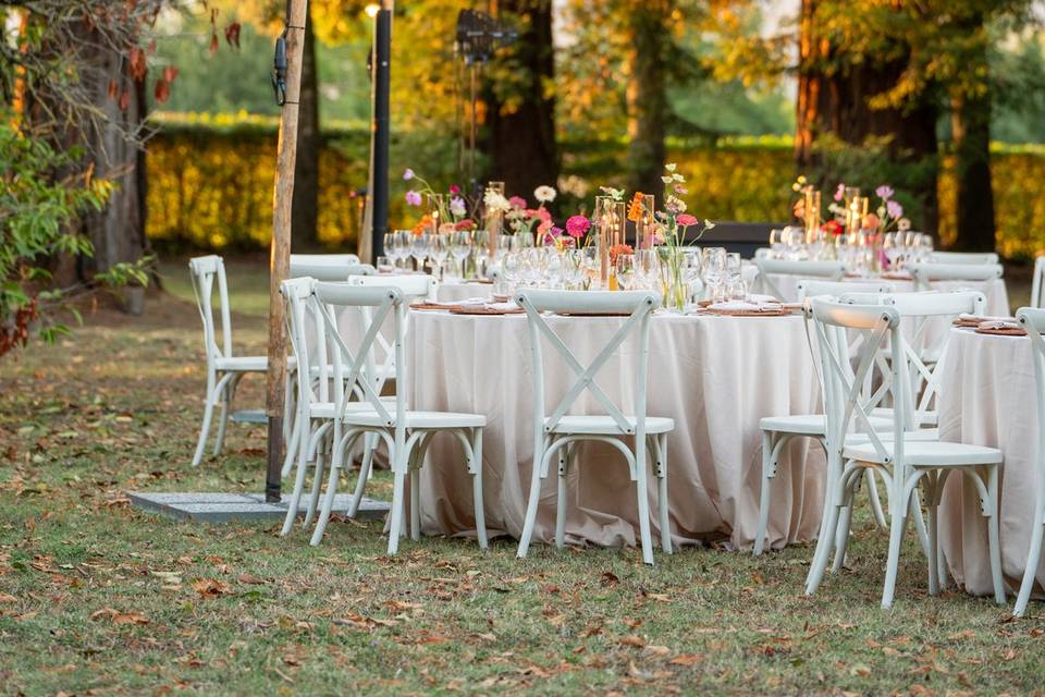 pranzo sotto gli alberi