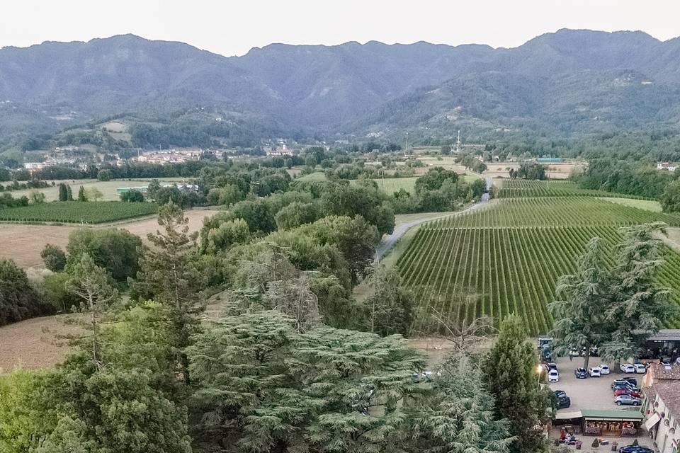 villa in campagna
