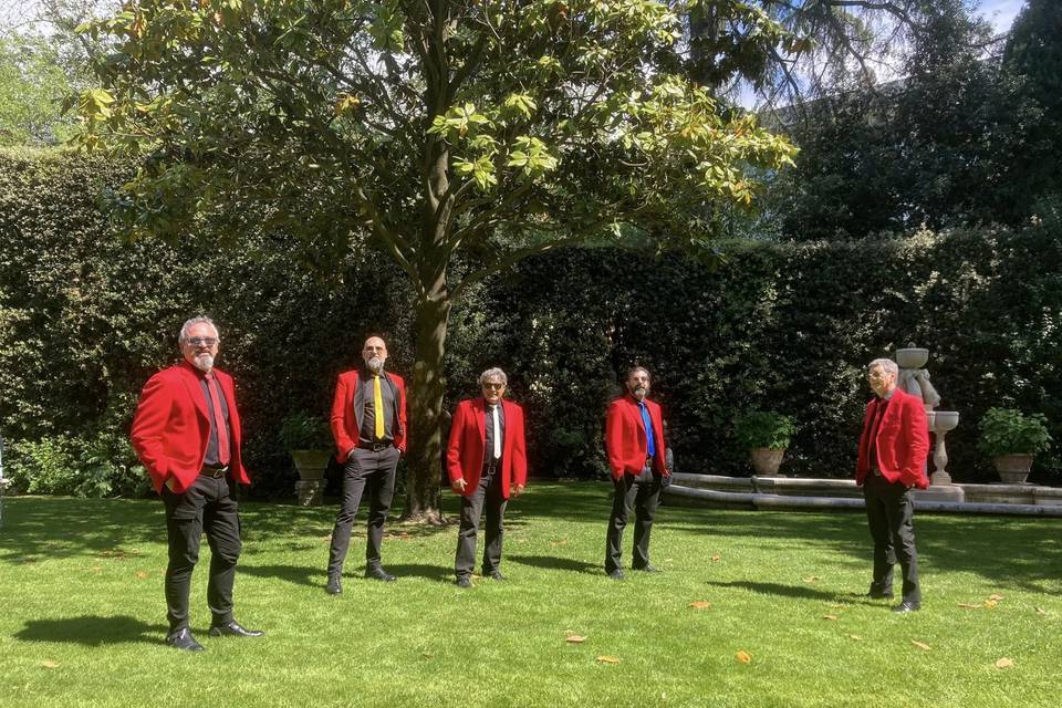 The Bulldogs - Beatles, anni 60 e Rock’n’Roll