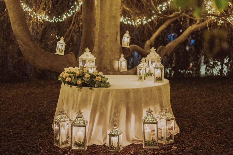 Wedding ph