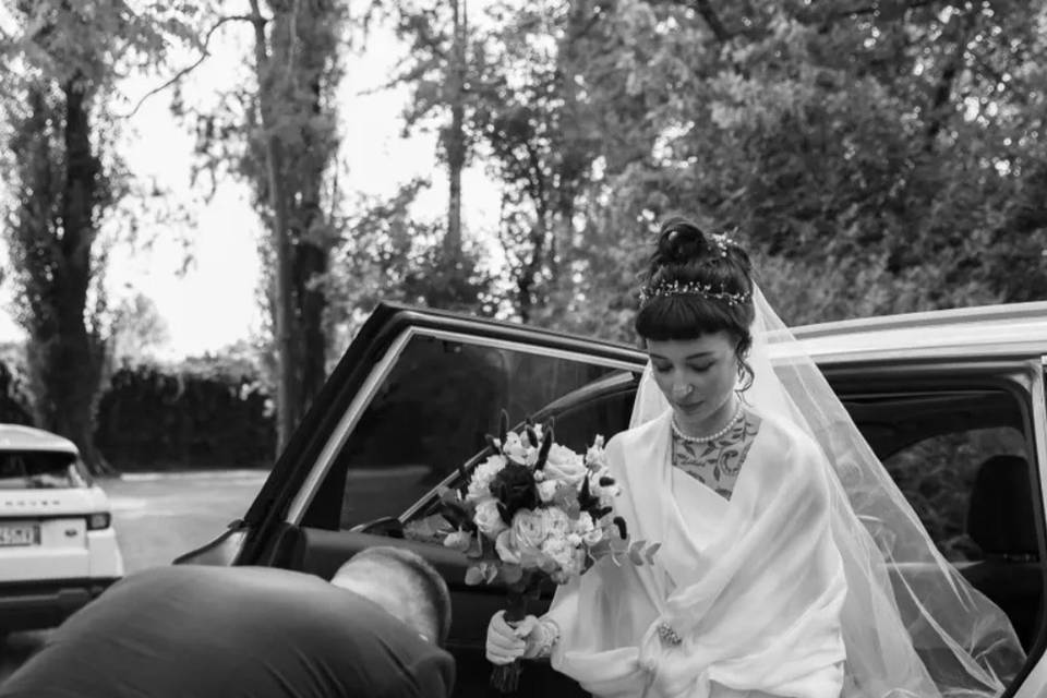 La Bassanina