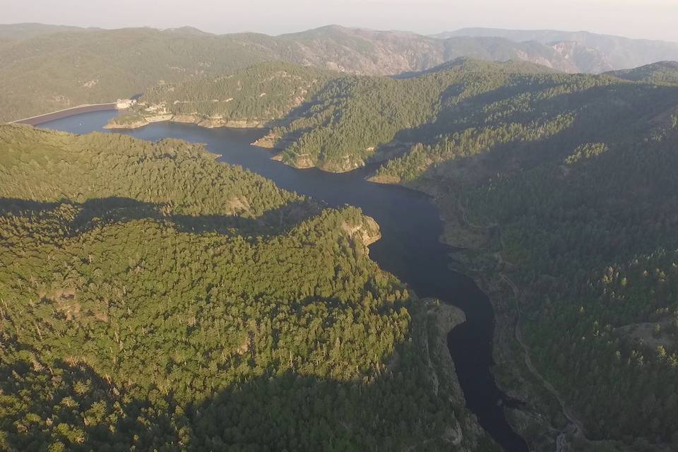 Aerial video