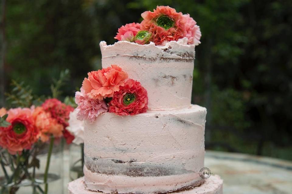 Pink Naked Cake