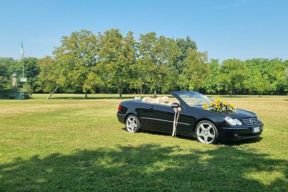 Wedding Cabriolet