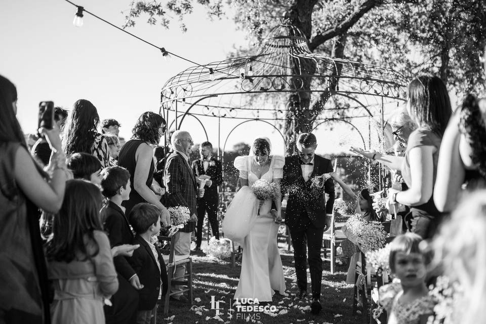Wedding