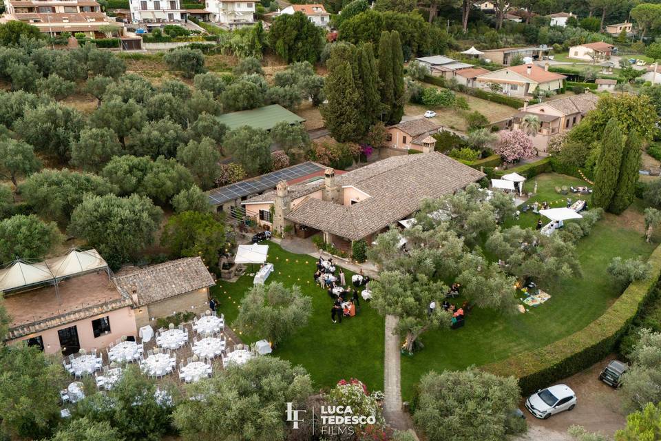 Wedding