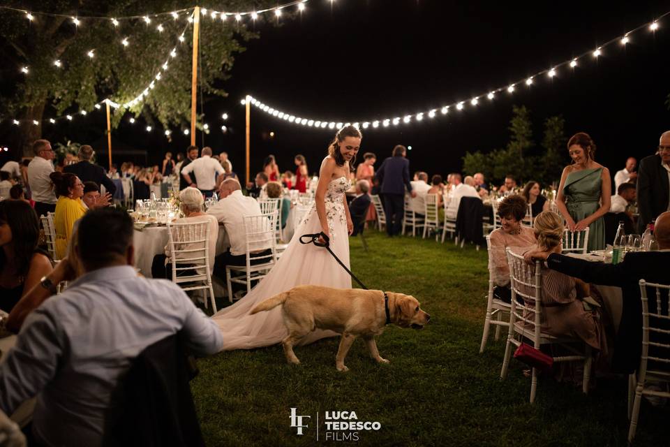 Wedding