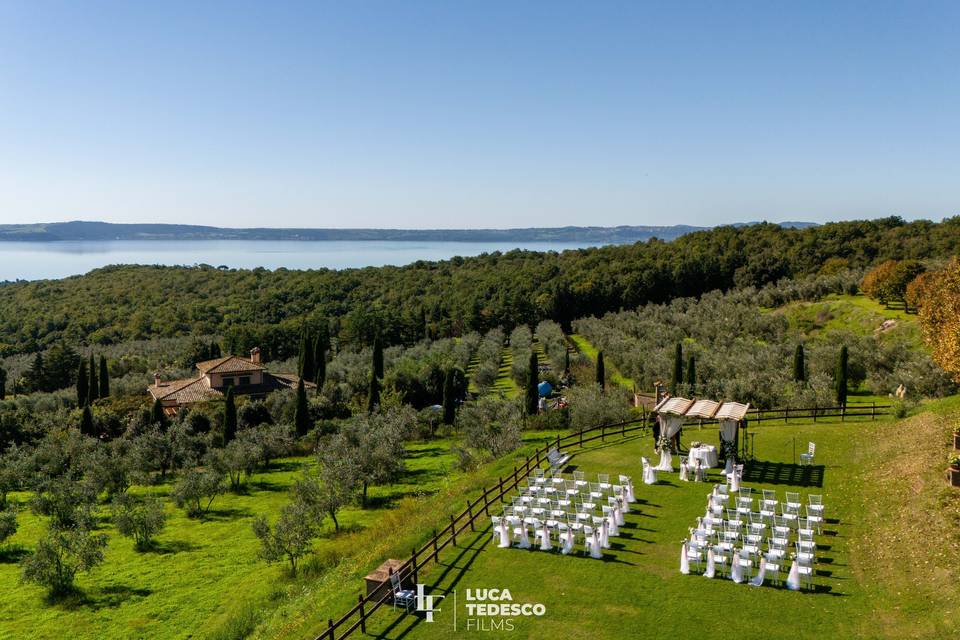 Wedding