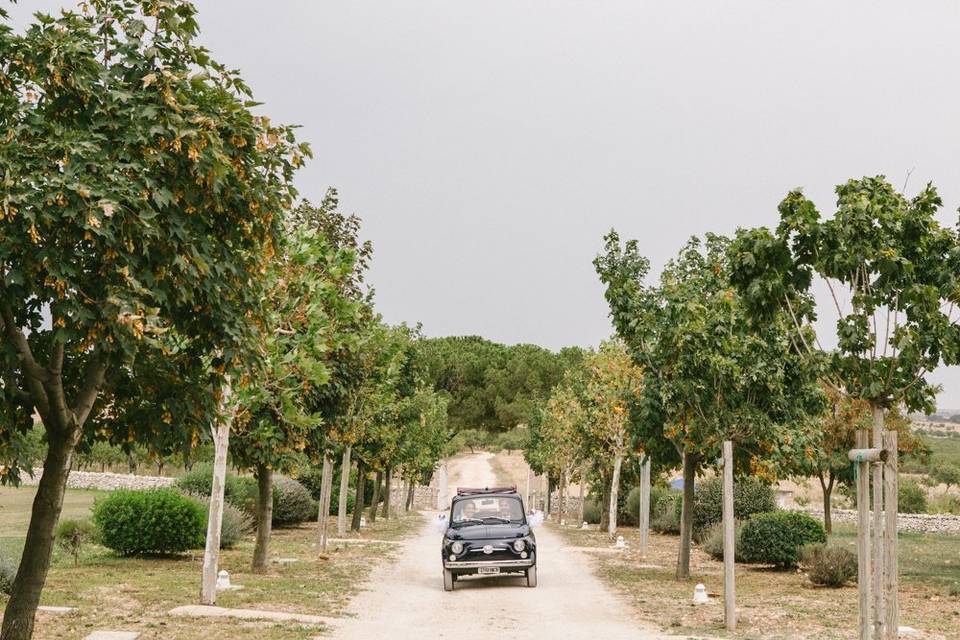 Masseria Torre di Nebbia