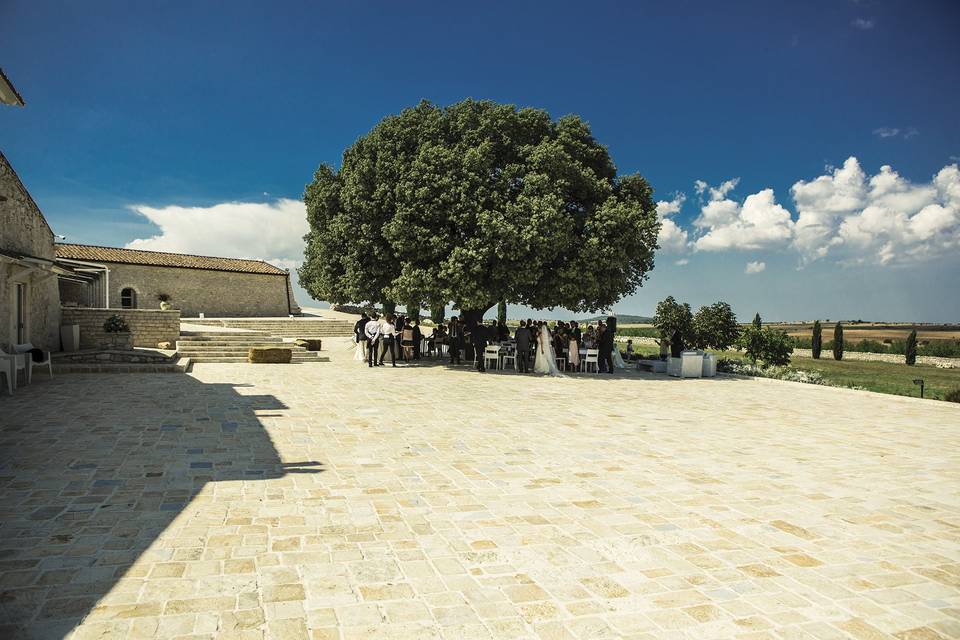 Masseria Torre di Nebbia