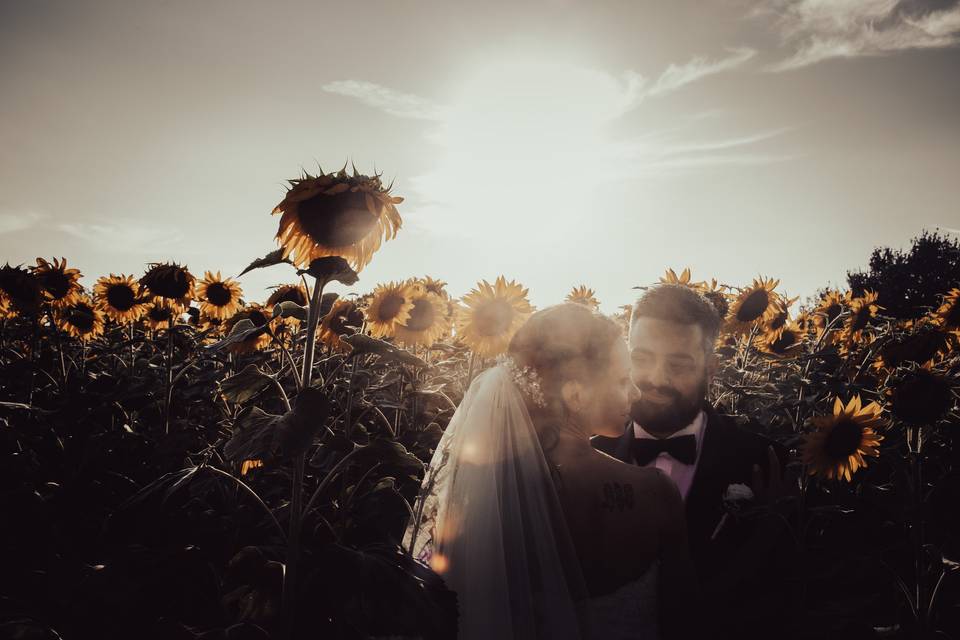 Girasole