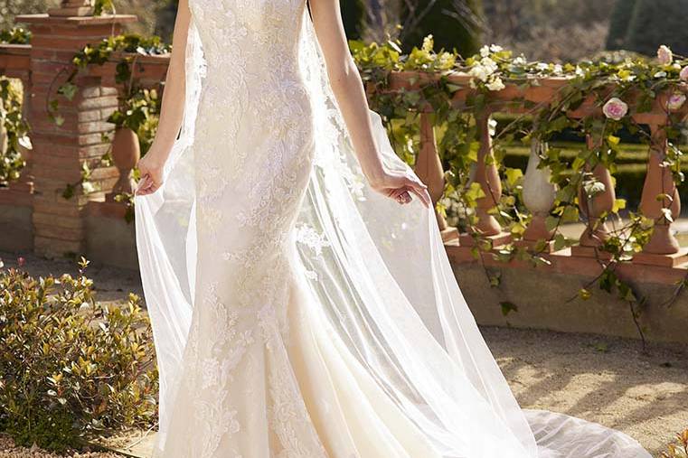 Pronovias 2022