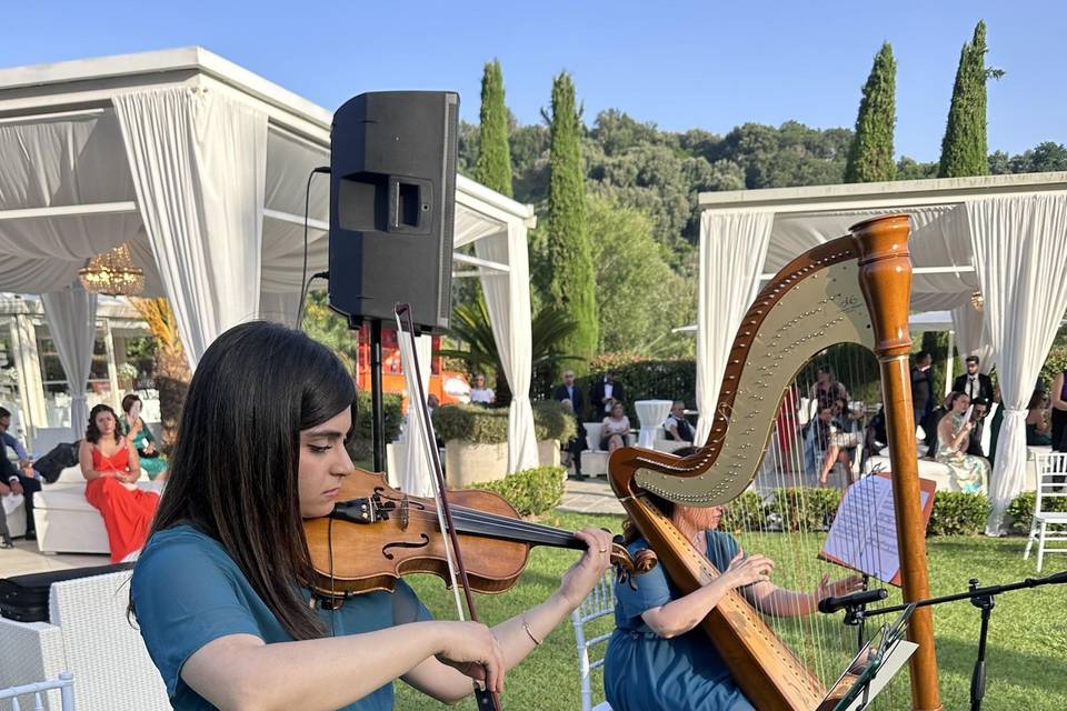 Arpa & Violino