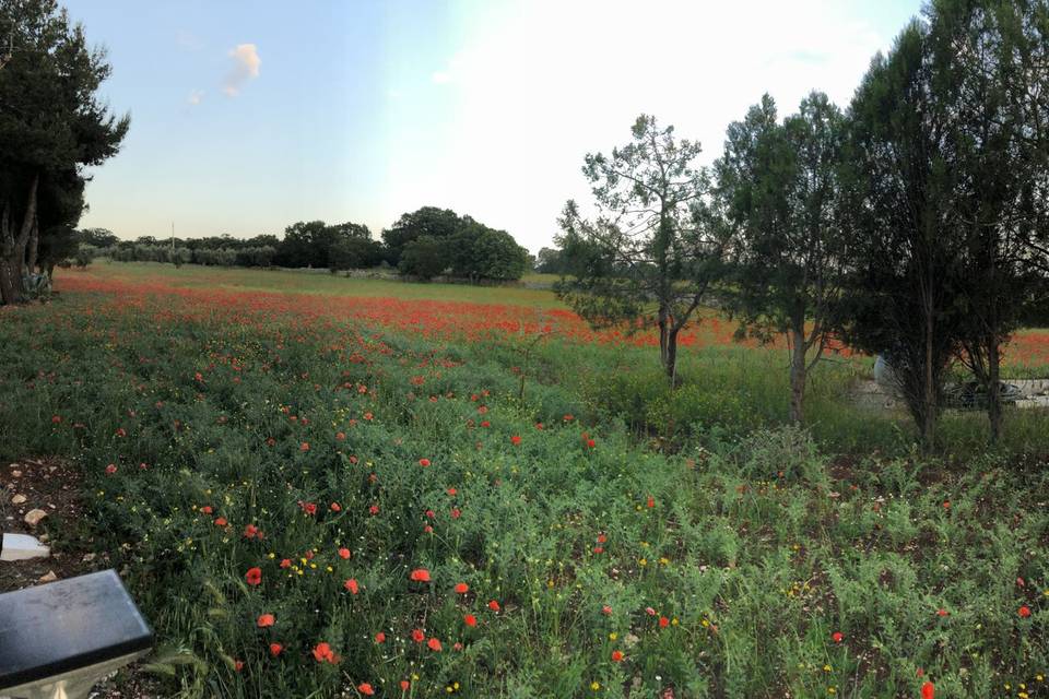 Masseria Battaglini