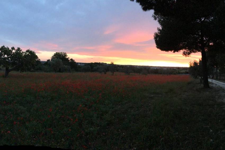 Masseria Battaglini