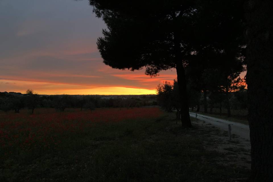 Masseria Battaglini