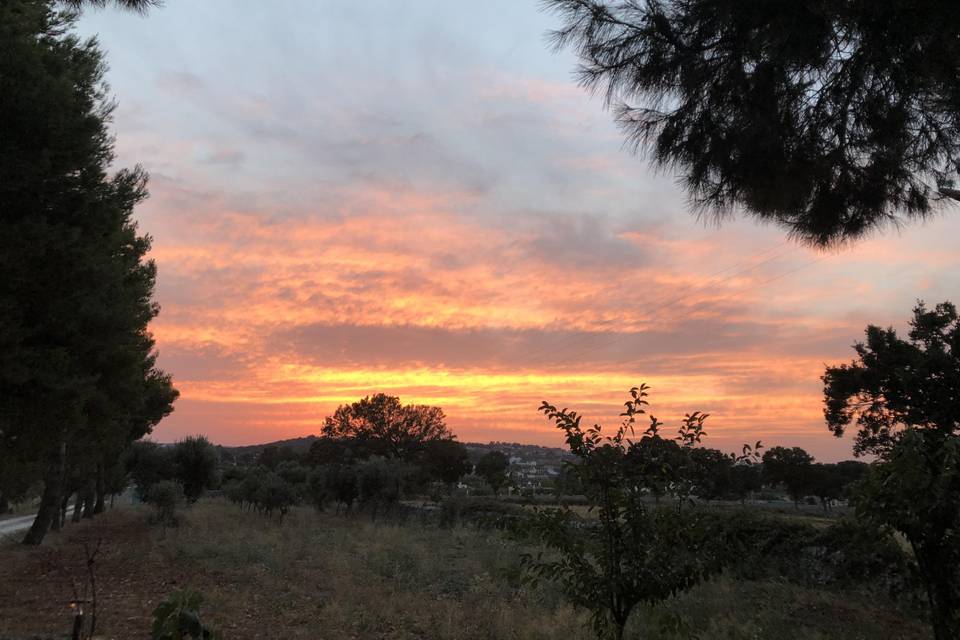 Masseria Battaglini