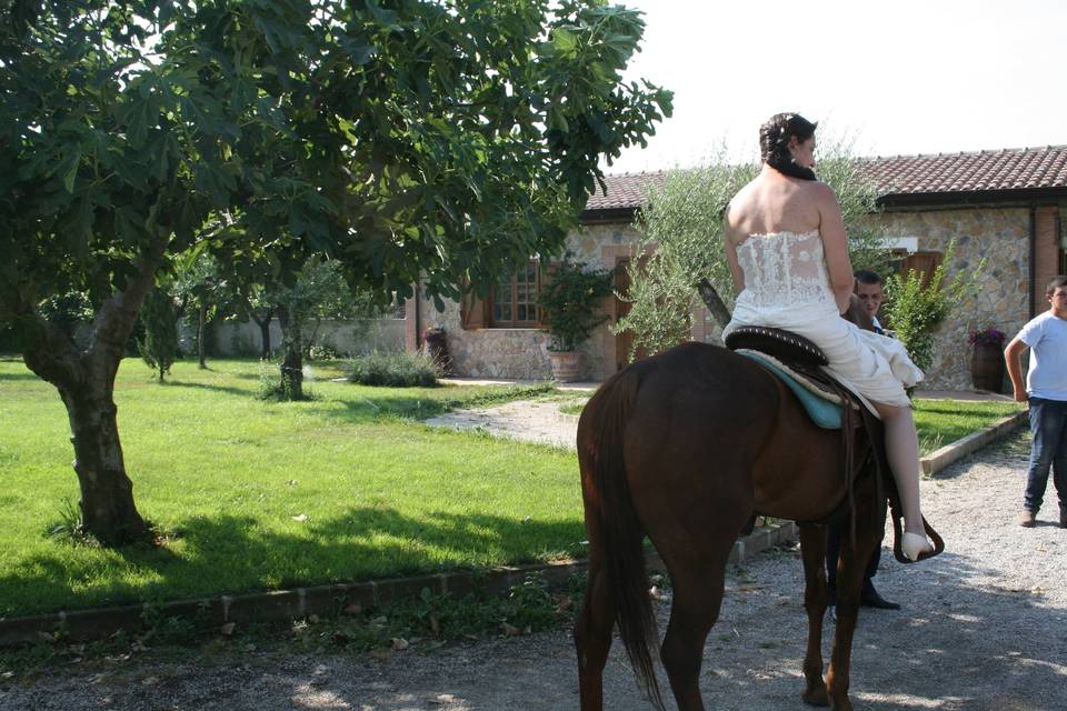 Sposa a cavallo