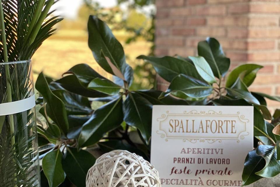 Spallaforte di Isabella Turrini