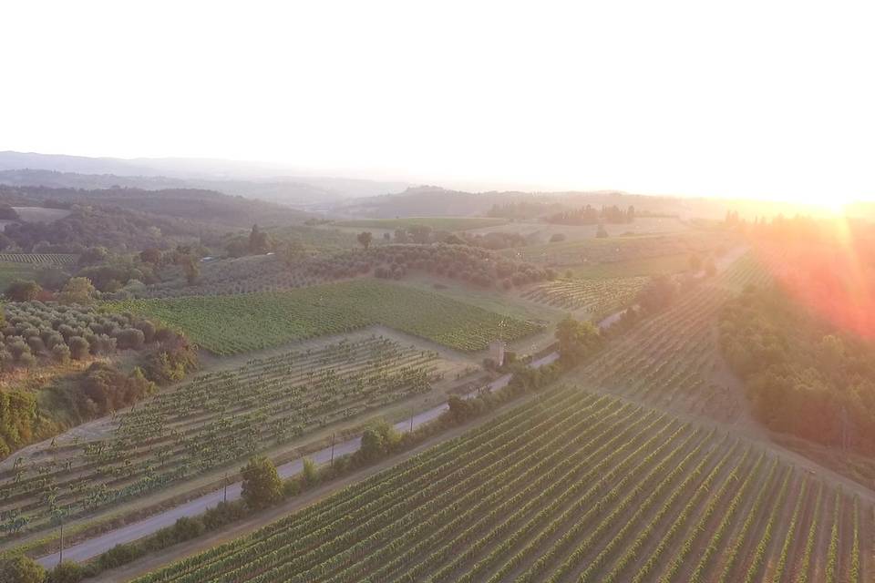 Tenuta San Donnino