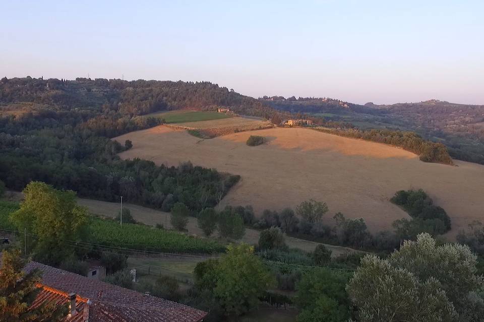 Tenuta San Donnino