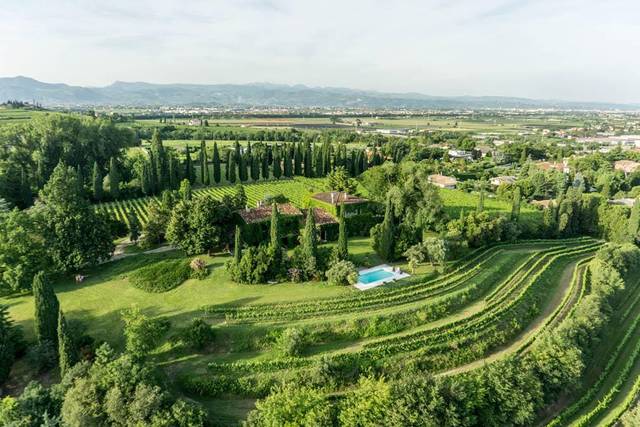 Le Vigne di San Pietro